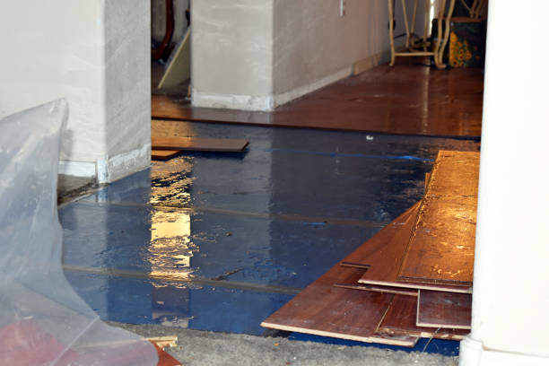 Professional Water Extraction technician working in Knapp, WI
